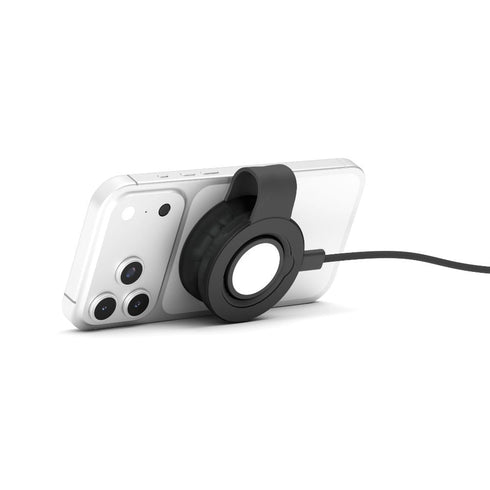Twelve South Butterfly SE Translucent 30w Image 21