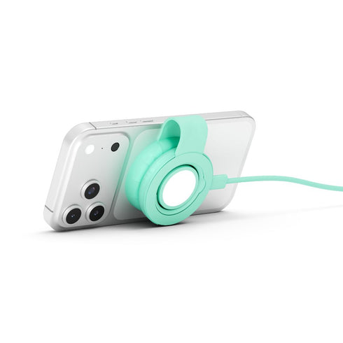 Twelve South Butterfly SE Translucent 30w Image 34